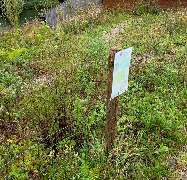 opfleuren van parkje + vlindertuin in de buurt