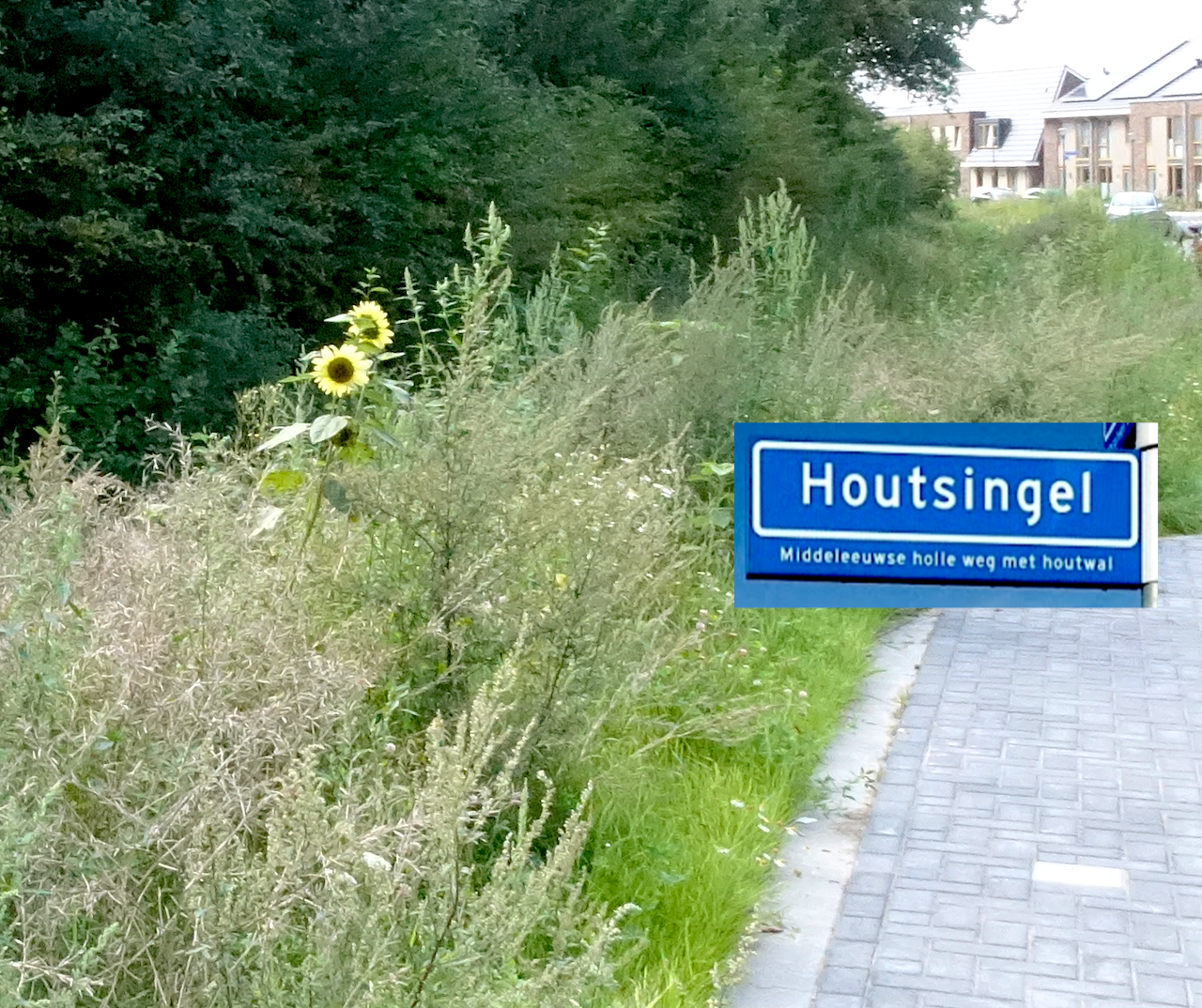 houtsingel Leesten Zutphen