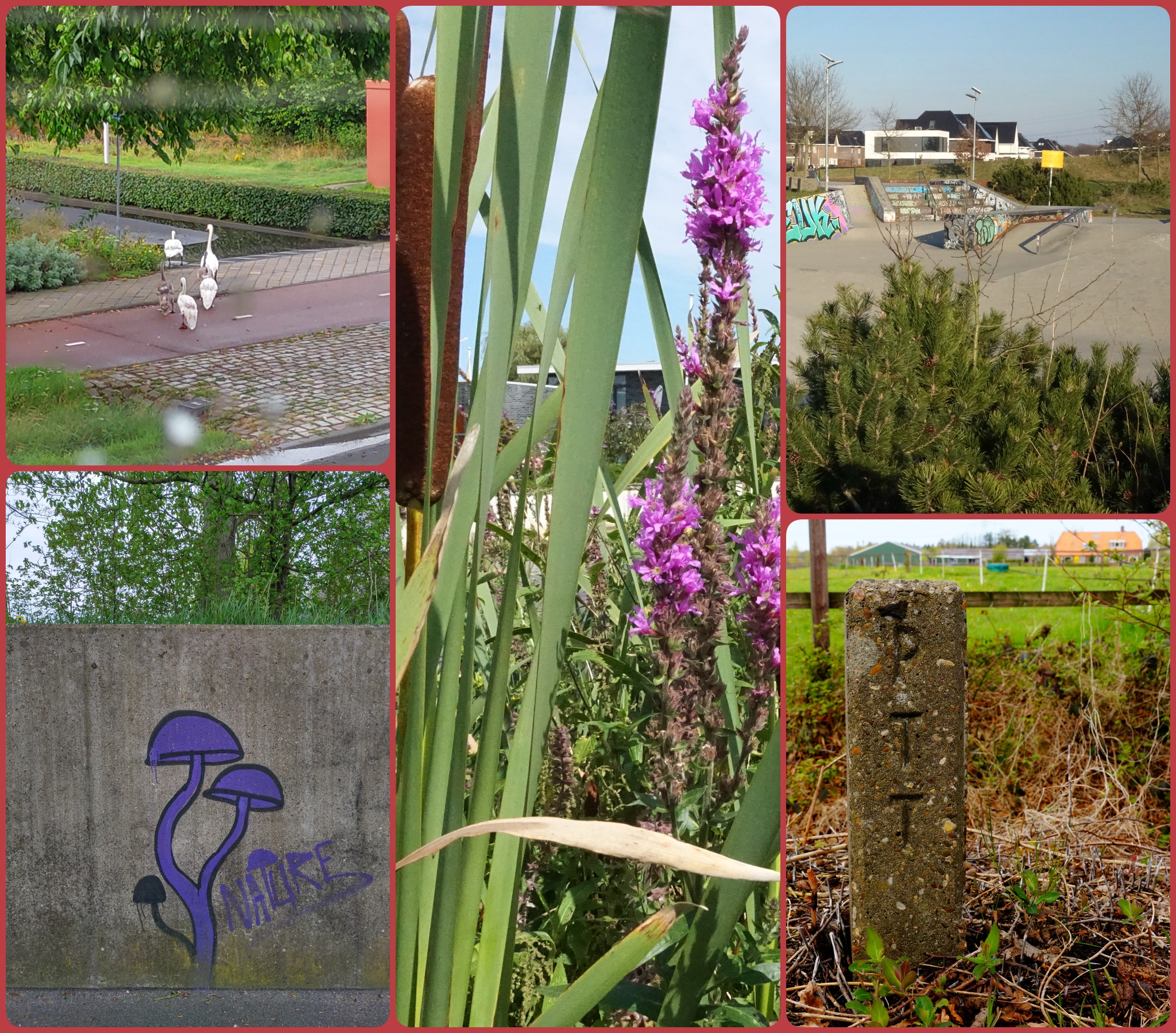 Leesten Zutphen omgeving