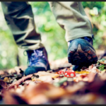 wandelingen buitengebied